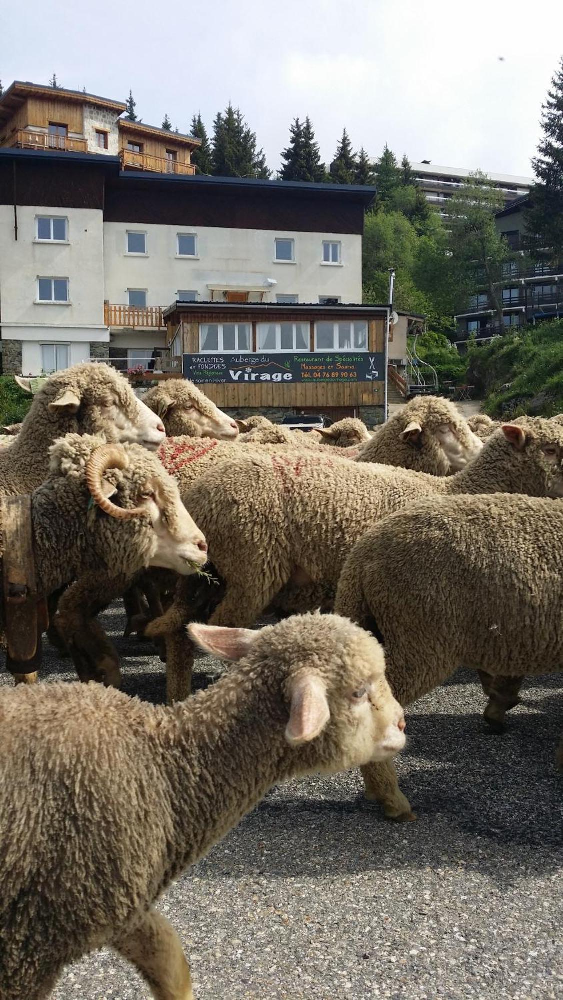 Auberge Restaurant Du Virage Chamrousse Dış mekan fotoğraf